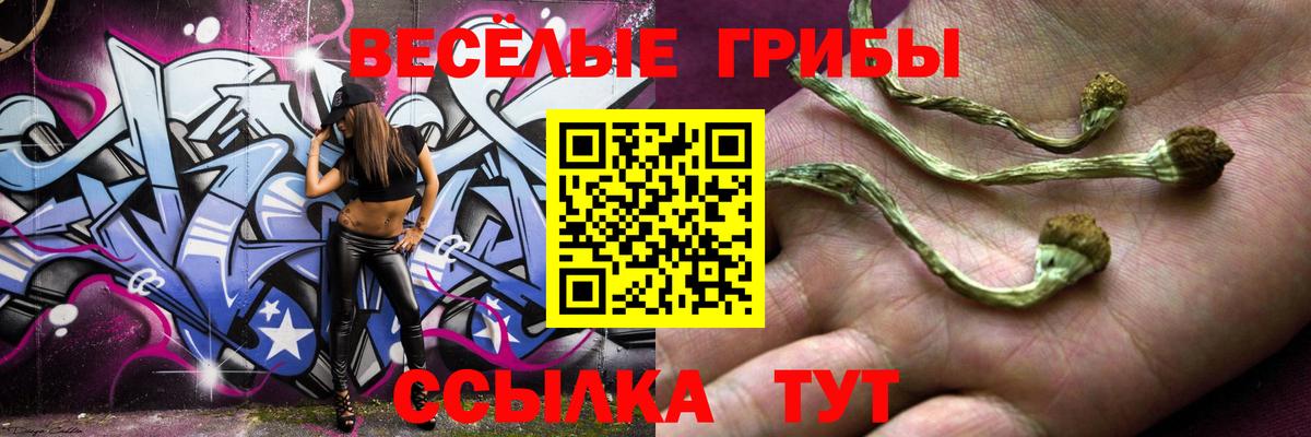 Псилоцибиновые грибы GOLDEN TEACHER  Галлюциногенные грибы Cubensis  Вход с VPN  Лабинск 
